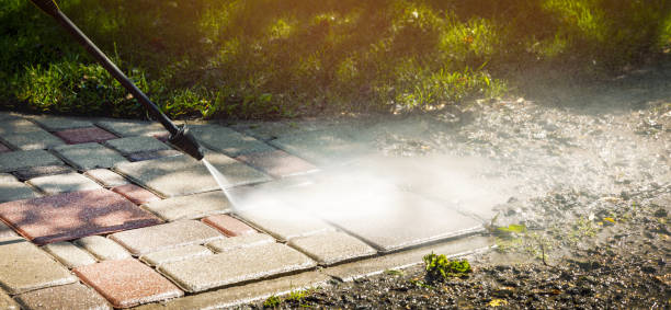 Best Roof Cleaning and Mildew Removal in Midway, KY